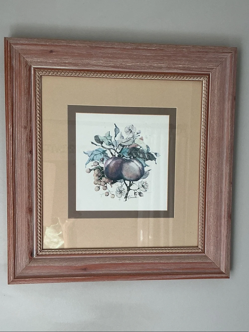 Artist Marilyn Simandle Framed Fruit Print Wall Art in Brown and Cream LARGE  FR